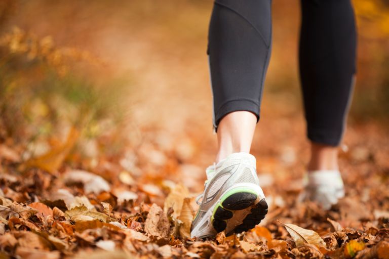 Joggerin im herbstlichen Wald ab Waden abwärts zu sehen